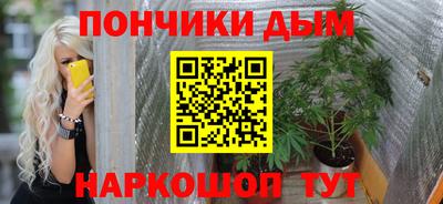 МДПВ Новодвинск