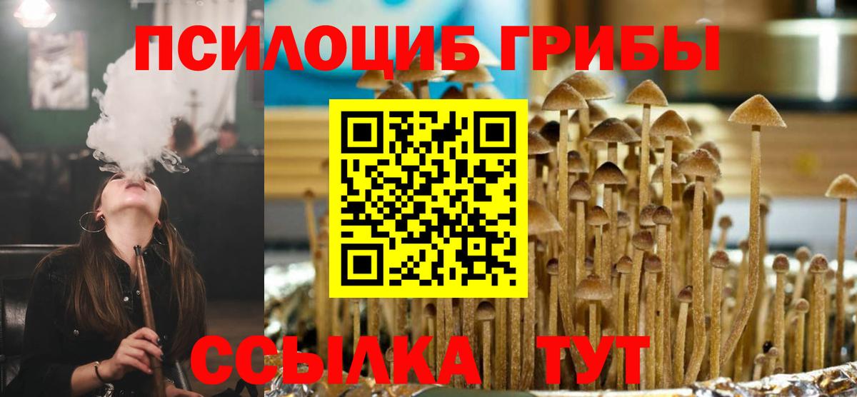 Псилоцибиновые грибы мицелий Тихорецк