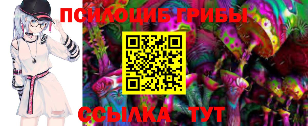 Галлюциногенные грибы мицелий  Псилоцибиновые грибы GOLDEN TEACHER  Вход с VPN  где купить наркоту  Тихорецк 