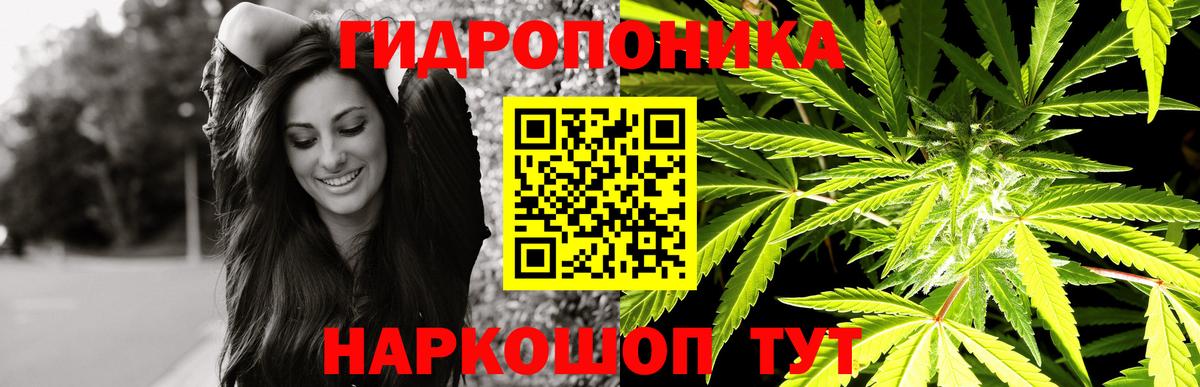 Тихорецк  Бошки Шишки LSD WEED  Бошки Шишки конопля  Вход с VPN  Каннабис THC 21% 